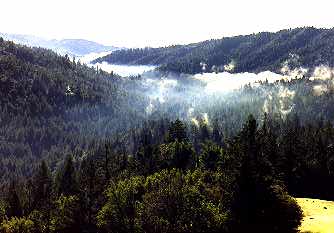 Russian River Area