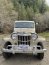 1961 Utility Wagon 4x4 L-6 226